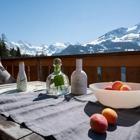 Chalet Racers Retreat *